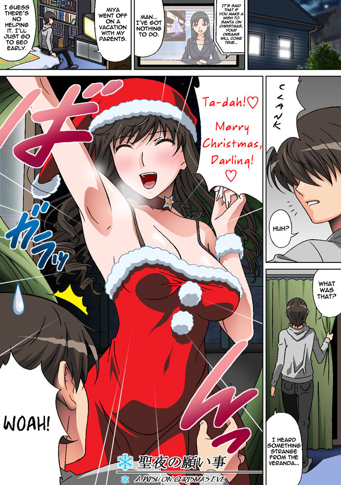 Seiya no Negaigoto