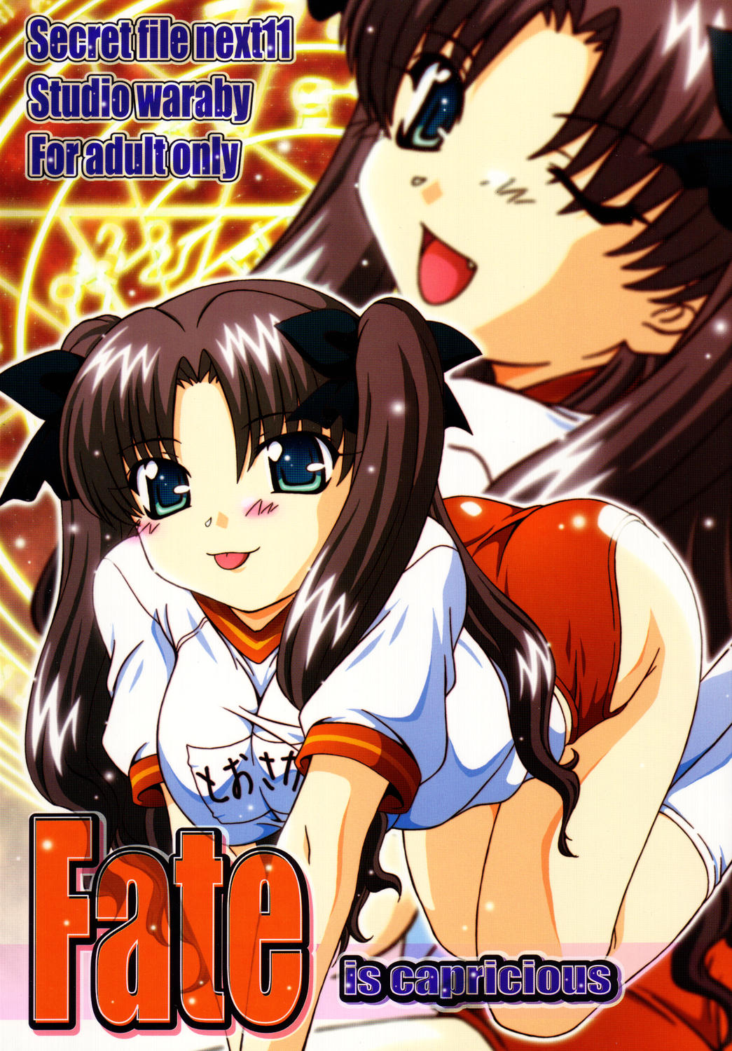 Secret File Next 11 - Fate is capricious