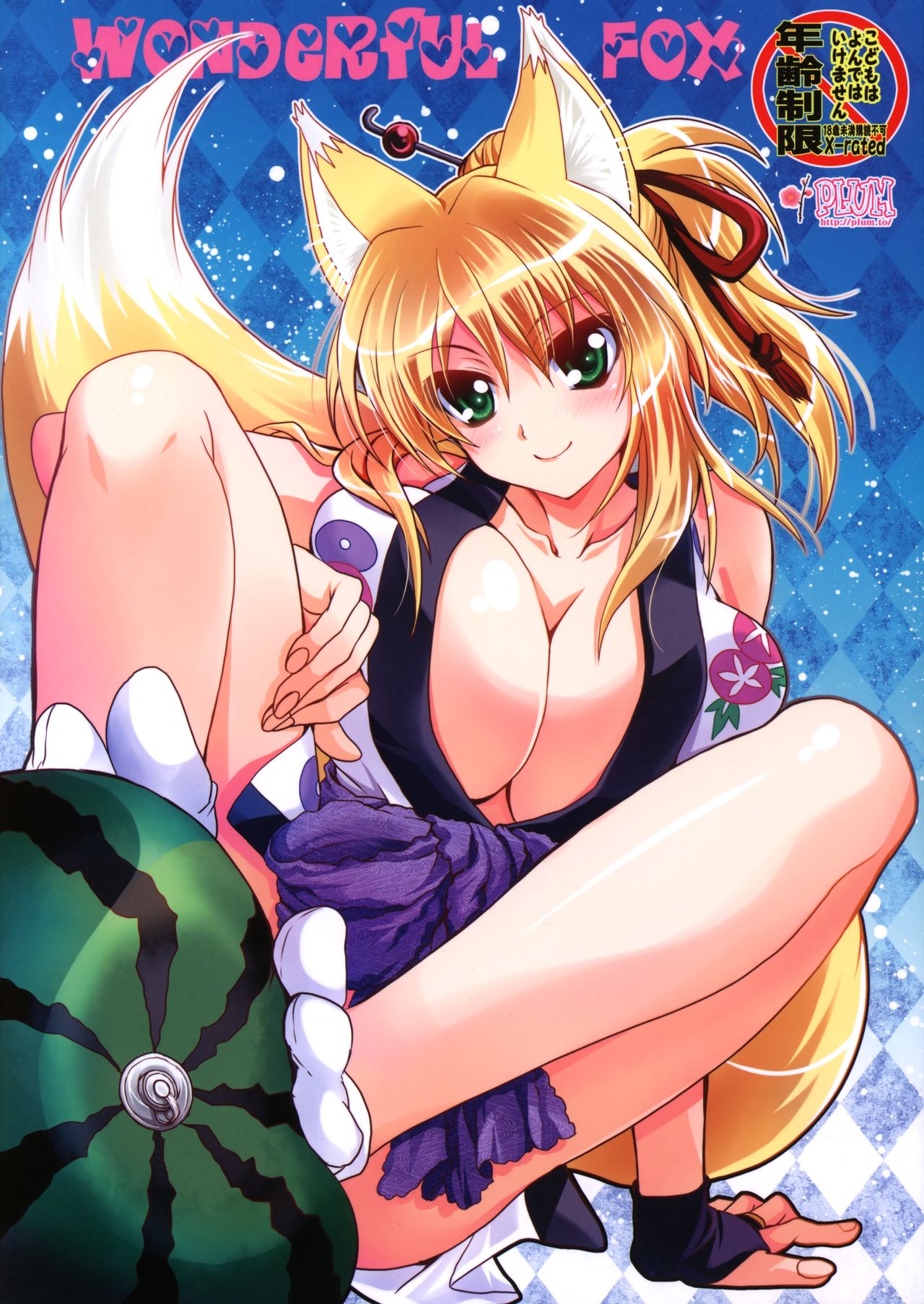 WONDeRfUL FOX