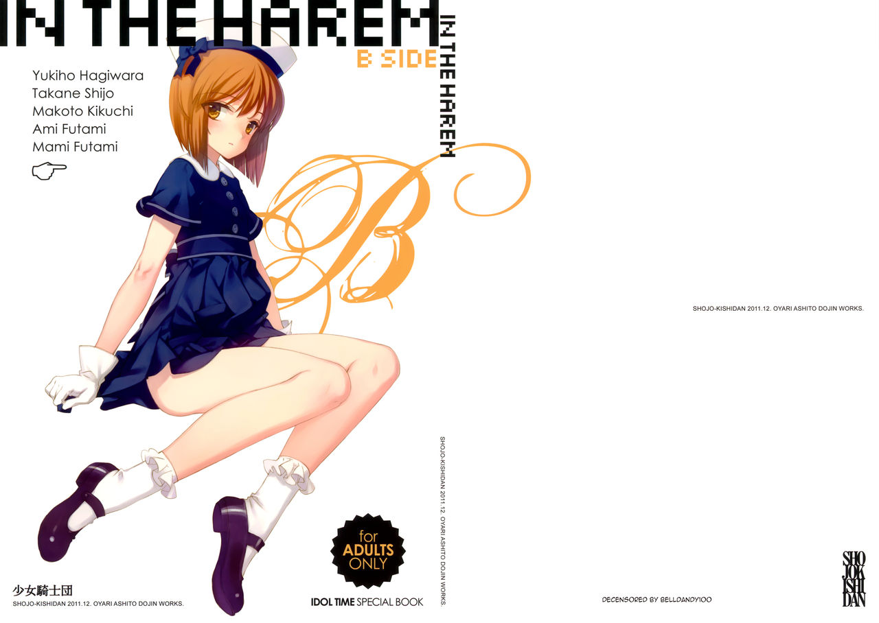 IN THE HAREM B SIDE - Decensored