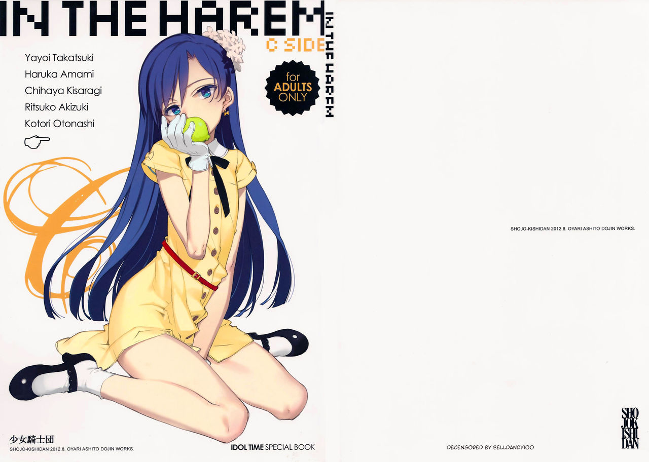 IN THE HAREM C SIDE - Decensored