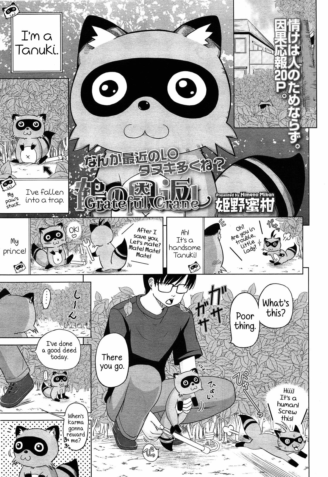 Tsuru no Ongaeshi