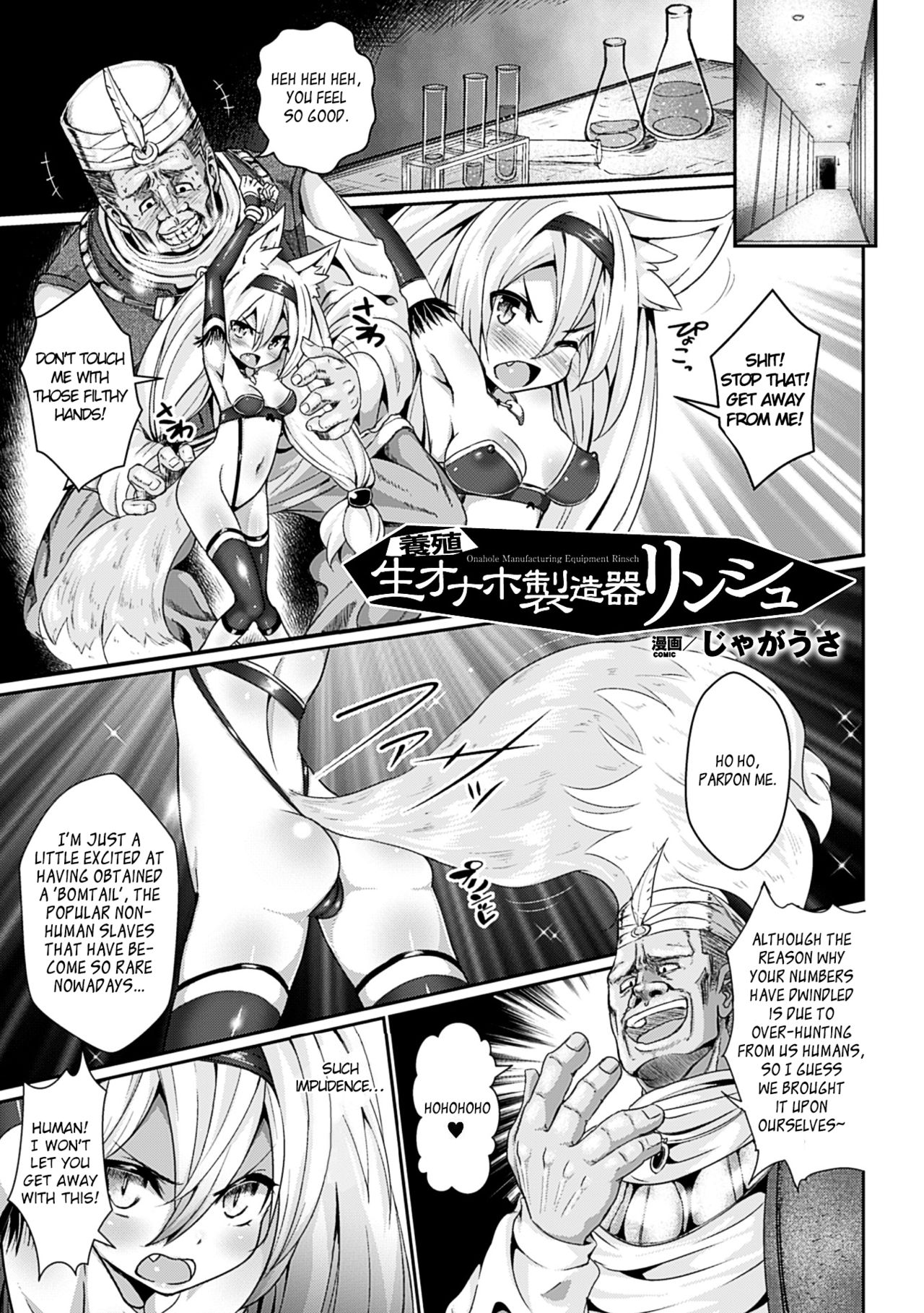 Youshoku Nama Onahole Seizouki Rinsch