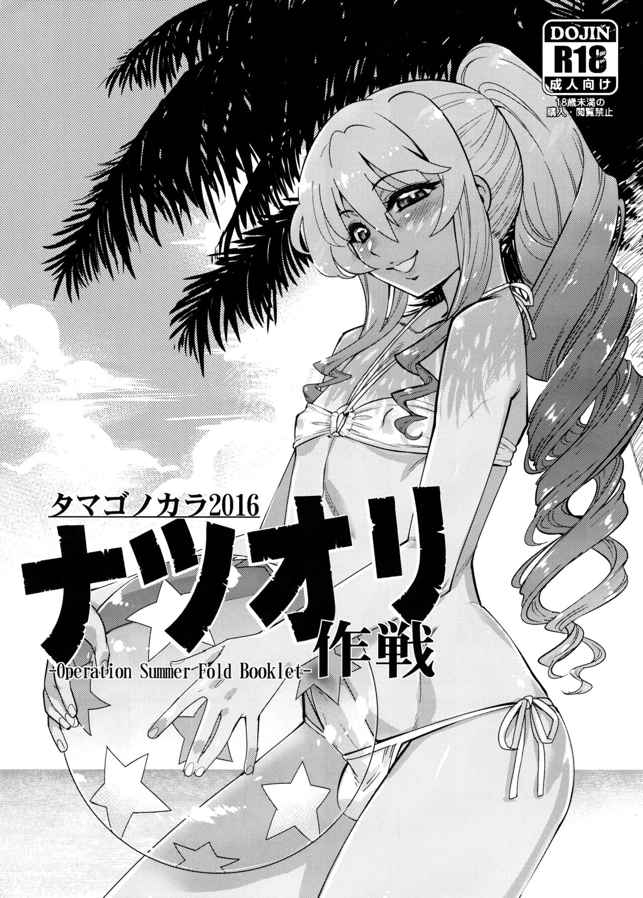 Operation Summer Fold Booklet