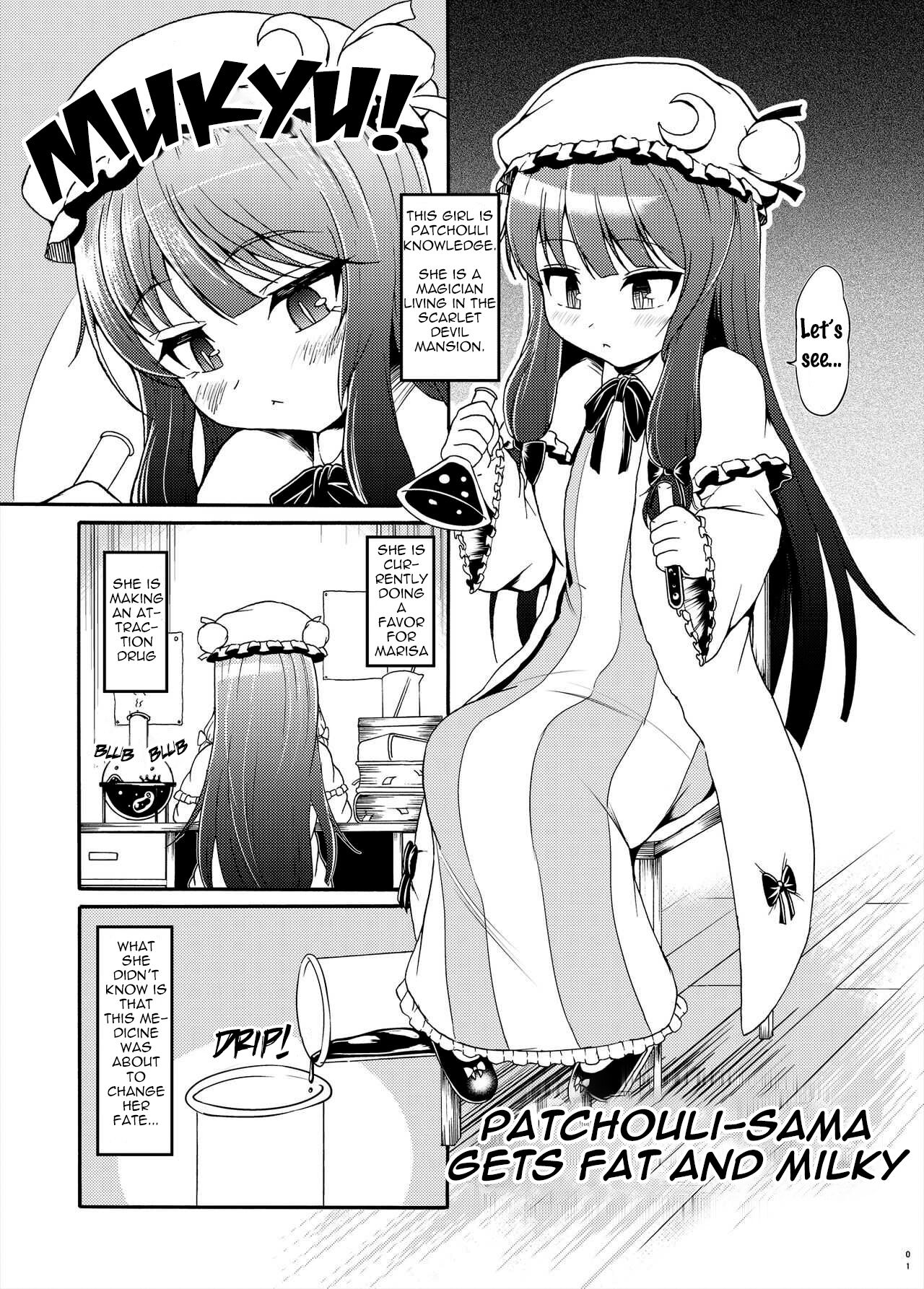 Patchouli-sama ga Futotte Sakunyuu Sareru Hon
