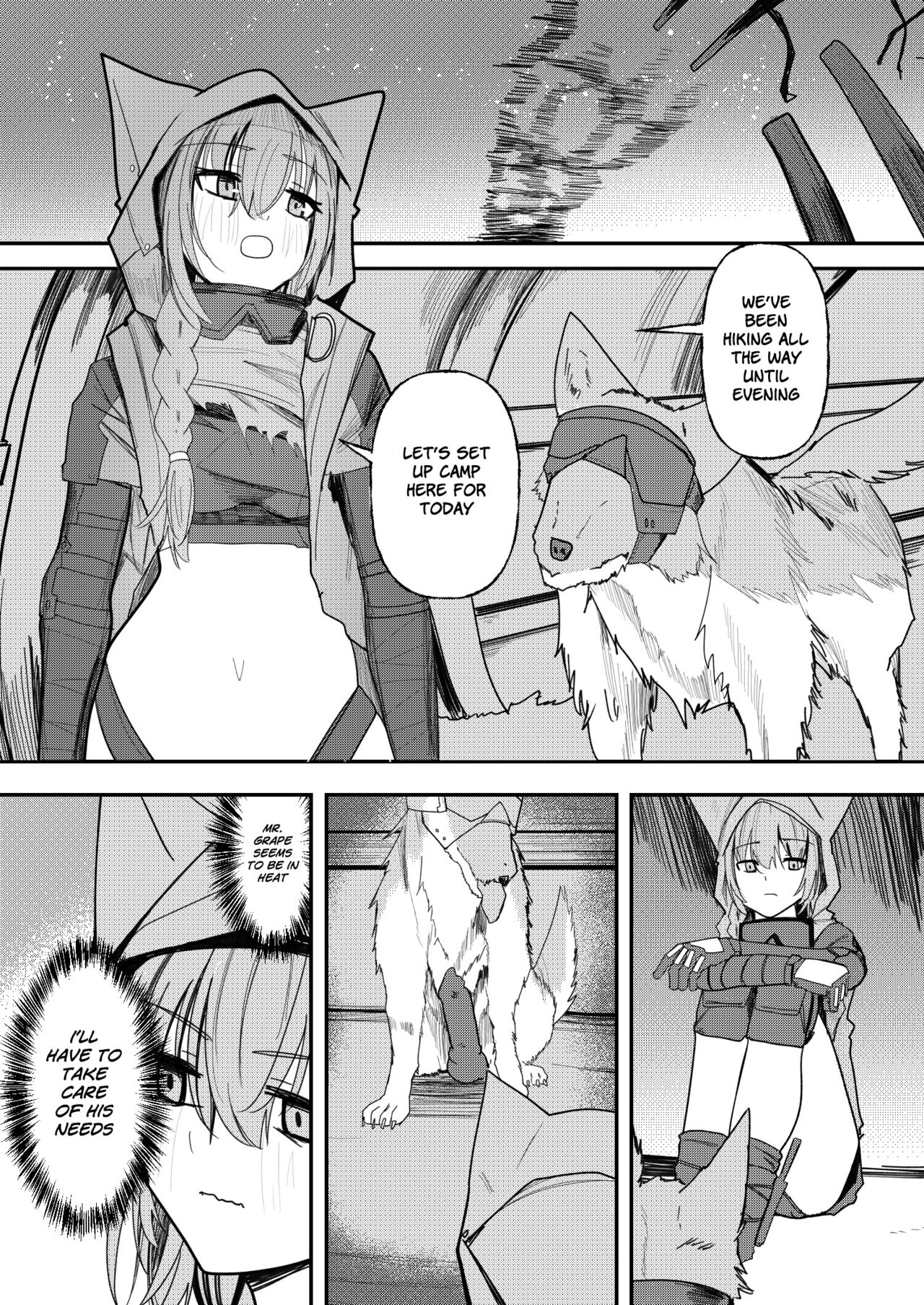 Mysterious wolf silhouette