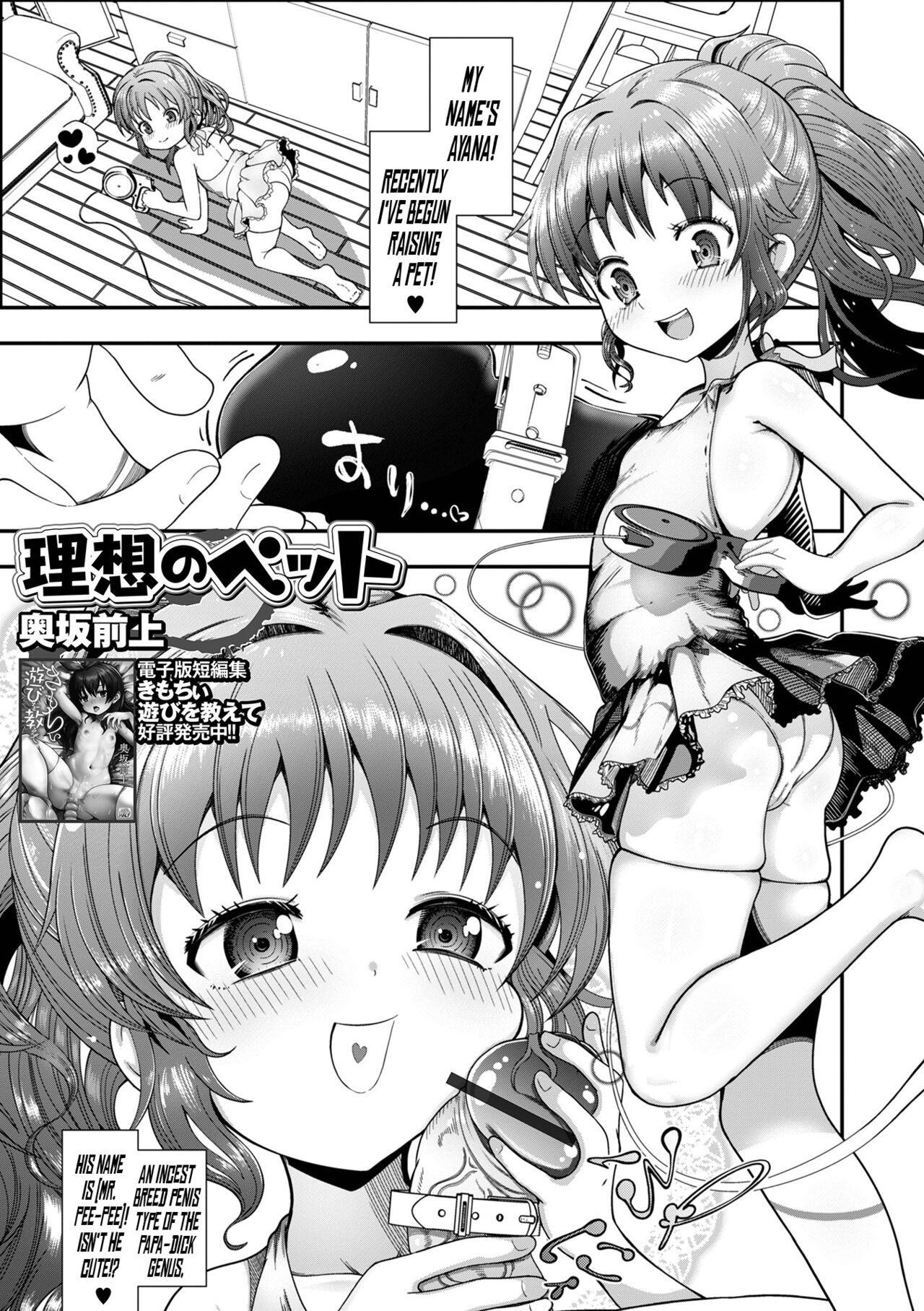 Risou no Pet