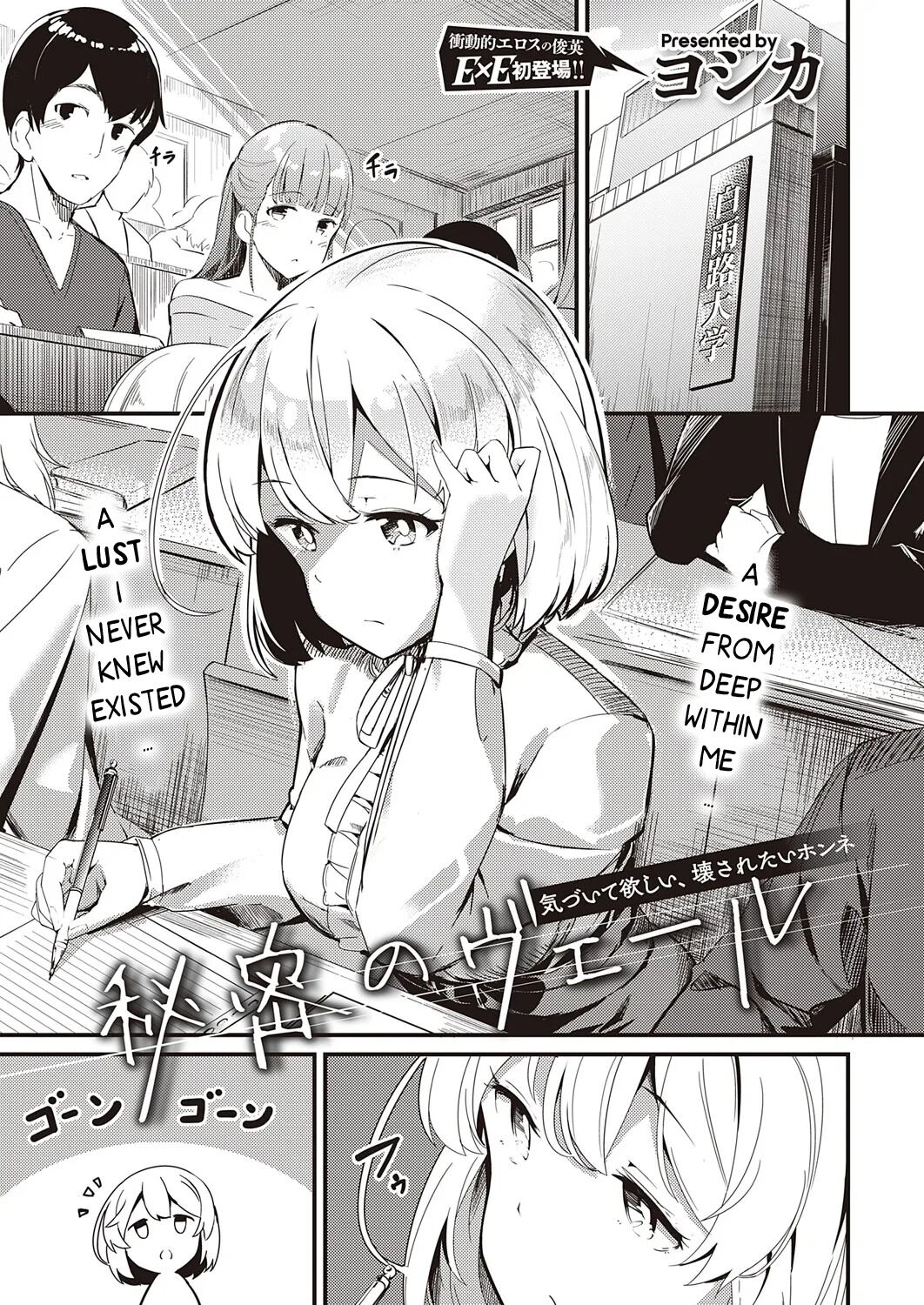 Himitsu no Veil