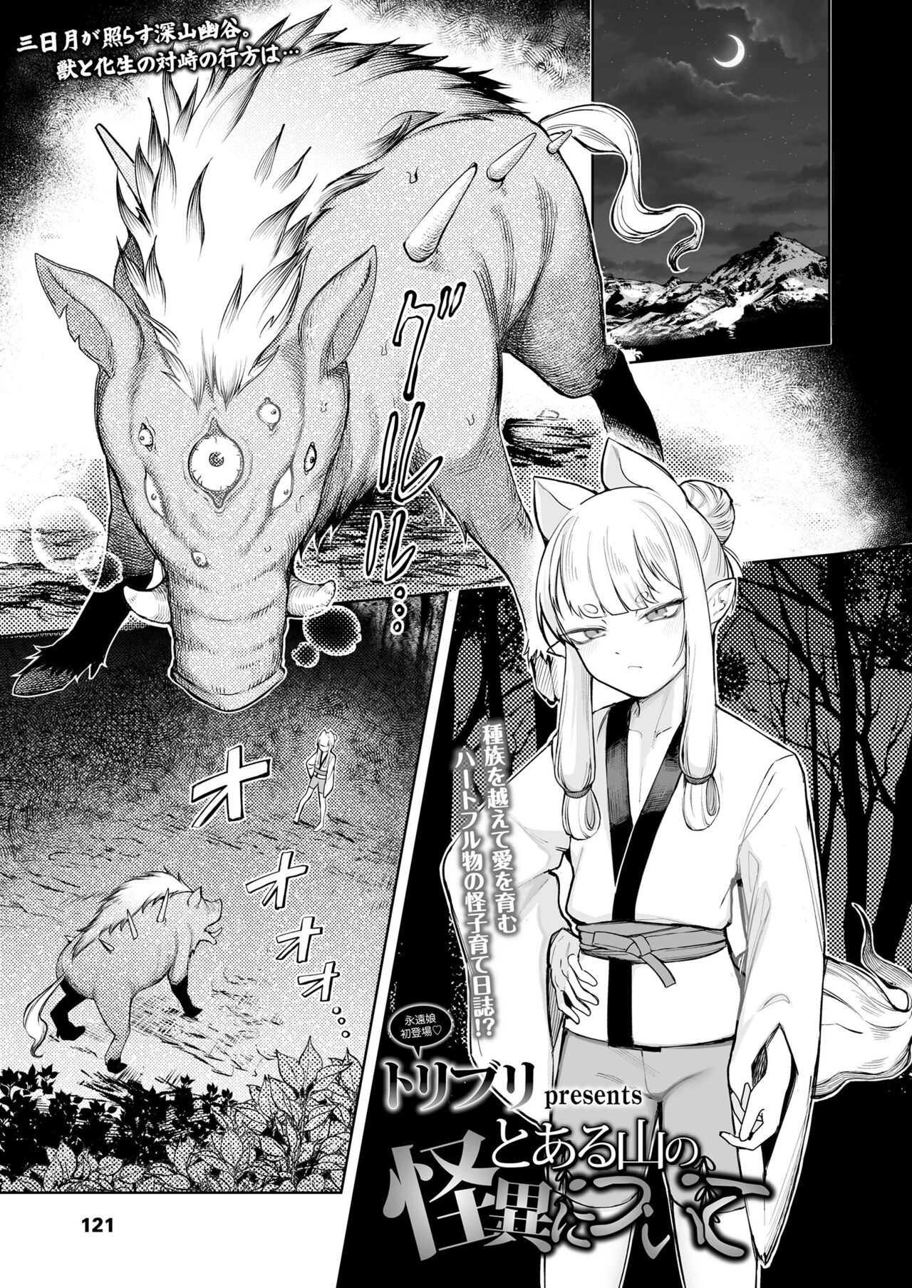 Toaru Yama no Kaii ni Tsuite