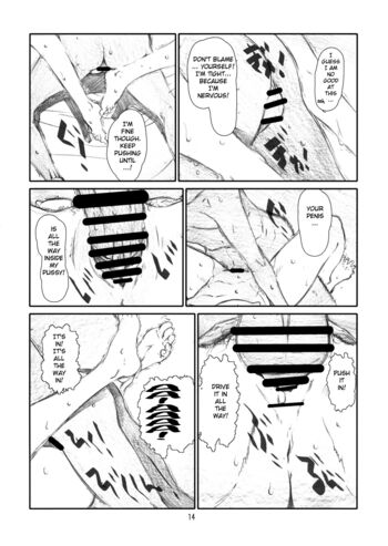 Page 13
