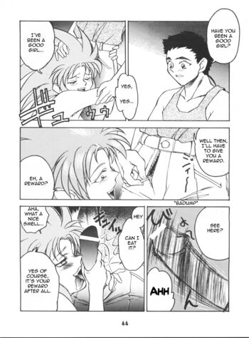 Page 43