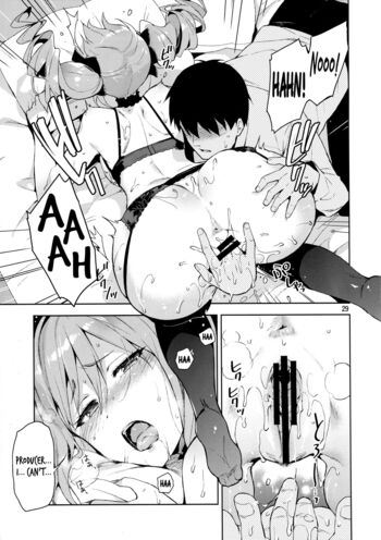 Page 27