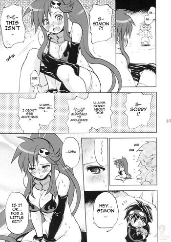 Page 27