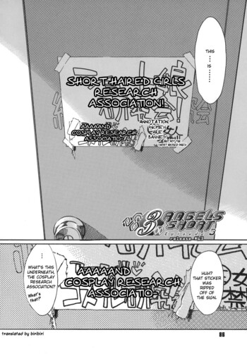 Page 86