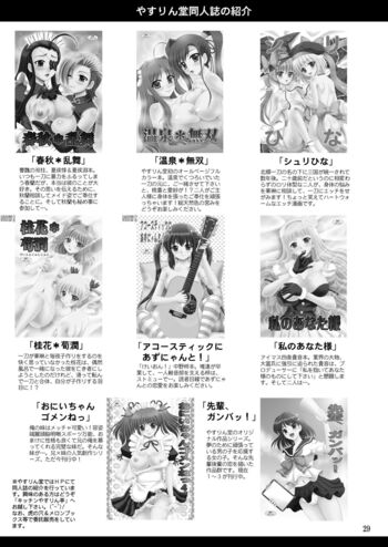 Page 29