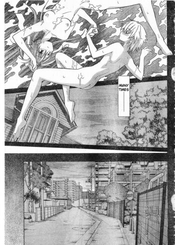 Page 262