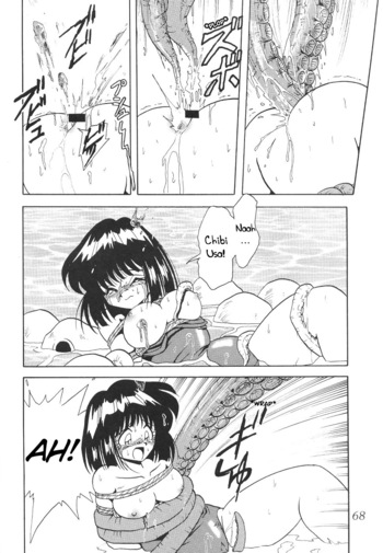 Page 66
