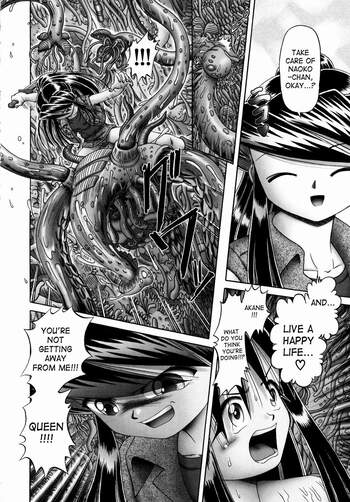 Page 217