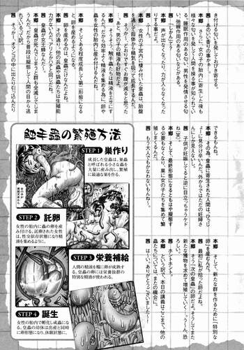 Page 263