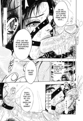 Page 102