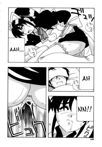 Page 161