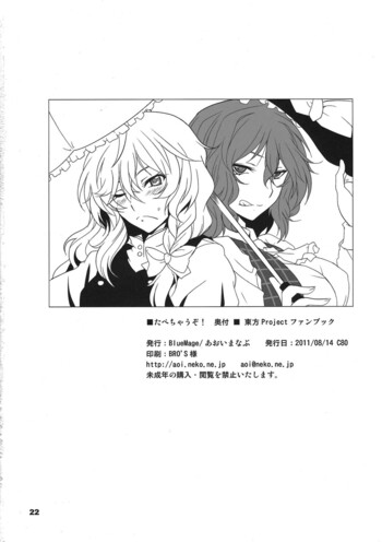 Page 22