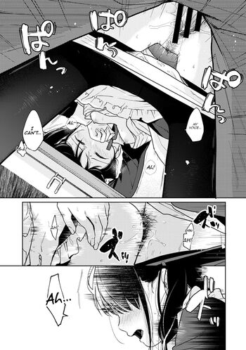 Page 517