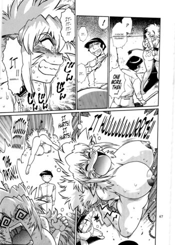 Page 66