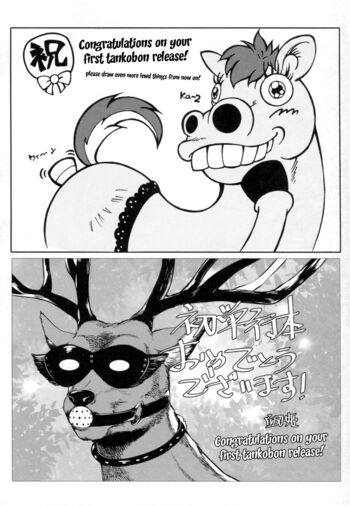 Page 211