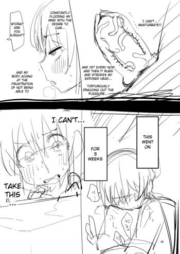 Page 43