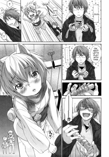 Page 261