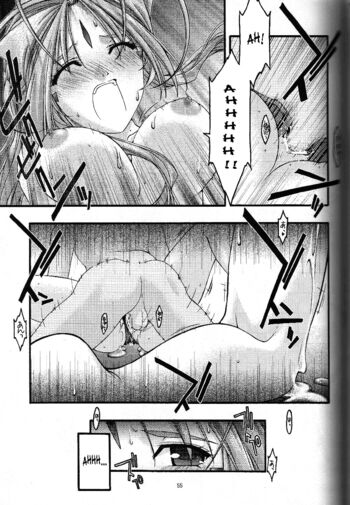 Page 53