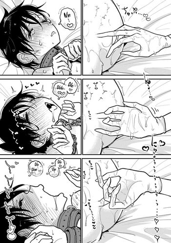 Page 529