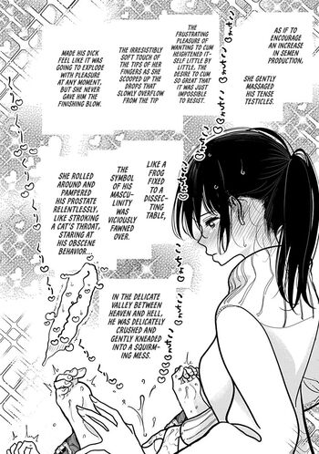 Page 531