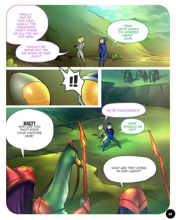 Page 71
