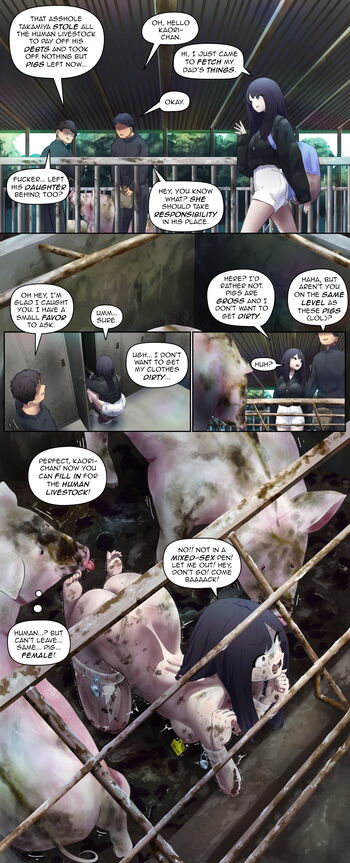 Page 264