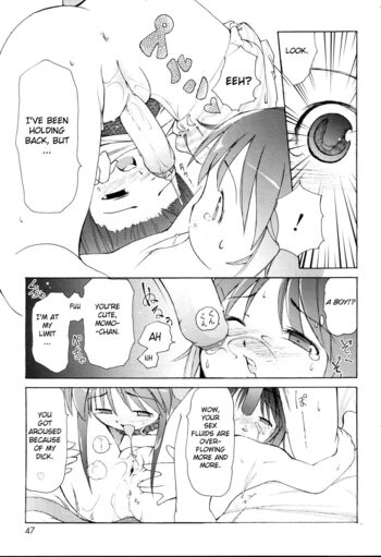 Page 47