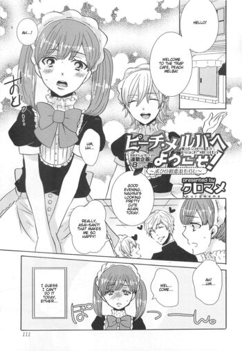 Page 111