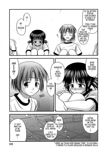 Page 111