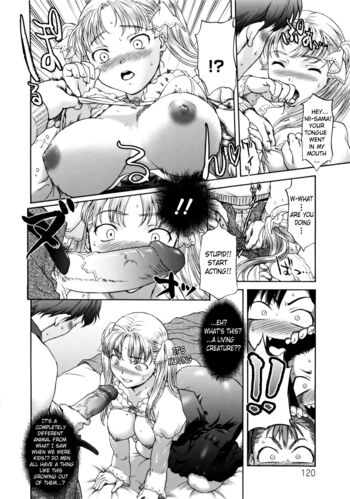 Page 120