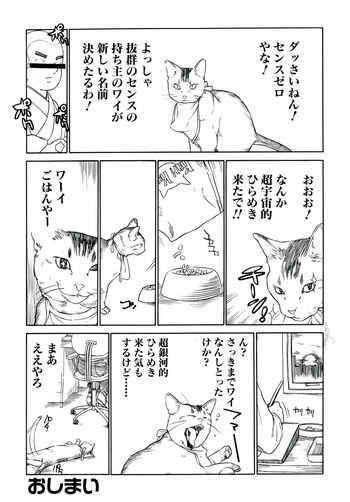 Page 221