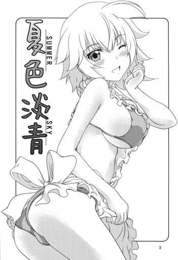 Page 3