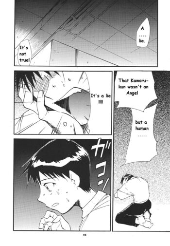 Page 43