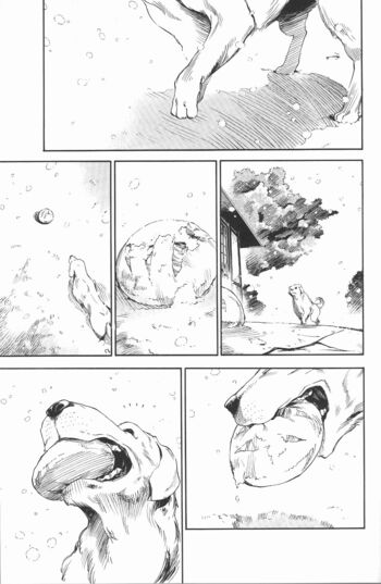 Page 102