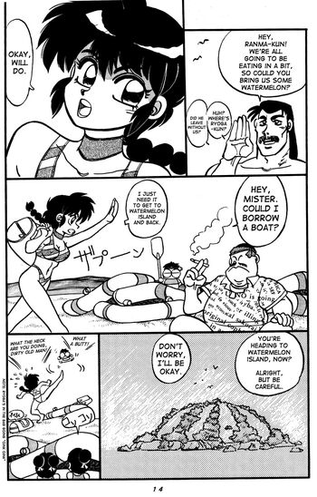 Page 14