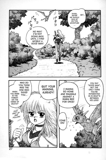 Page 27