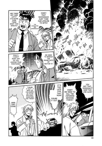 Page 43