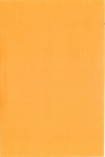 Page 217