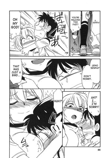 Page 43