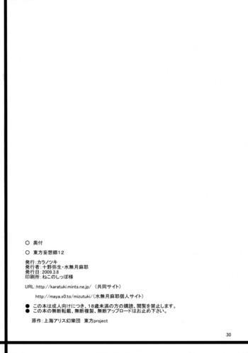 Page 29